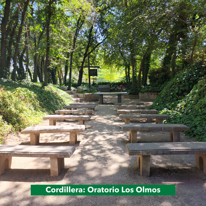 Ceremonia de los Remolinos
